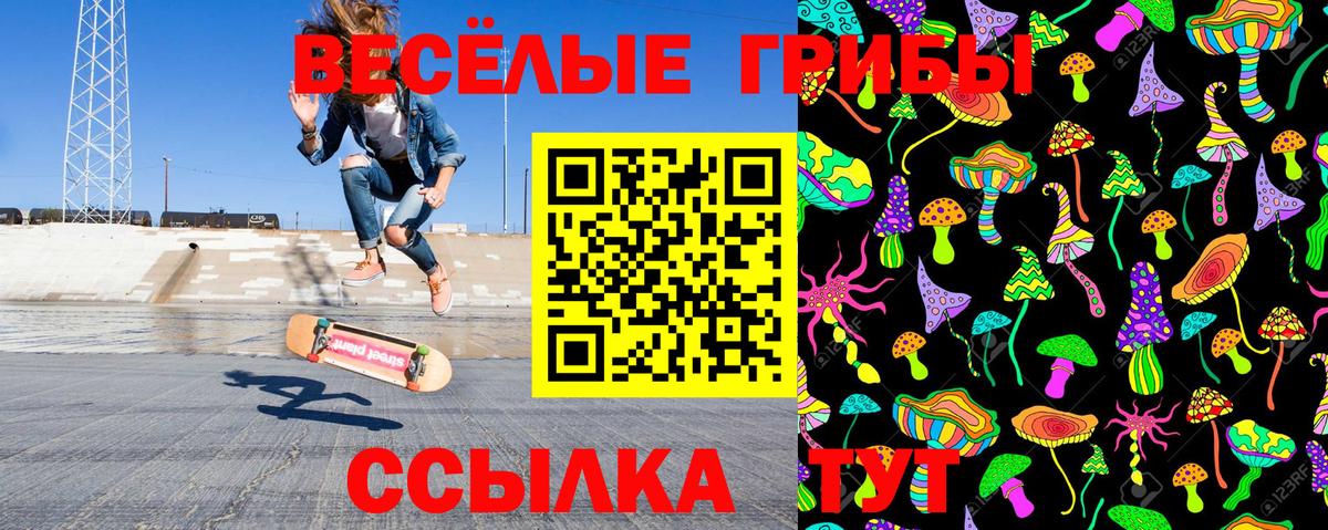 Псилоцибиновые грибы GOLDEN TEACHER  Вход с VPN  Псилоцибиновые грибы Cubensis  Урюпинск 
